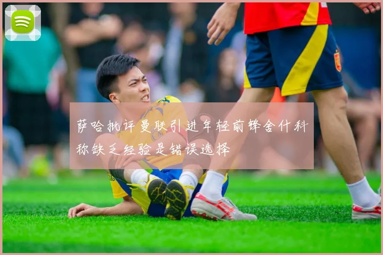萨哈批评曼联引进年轻前锋舍什科称缺乏经验是错误选择