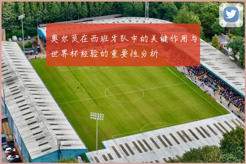 奥尔莫在西班牙队中的关键作用与世界杯经验的重要性分析