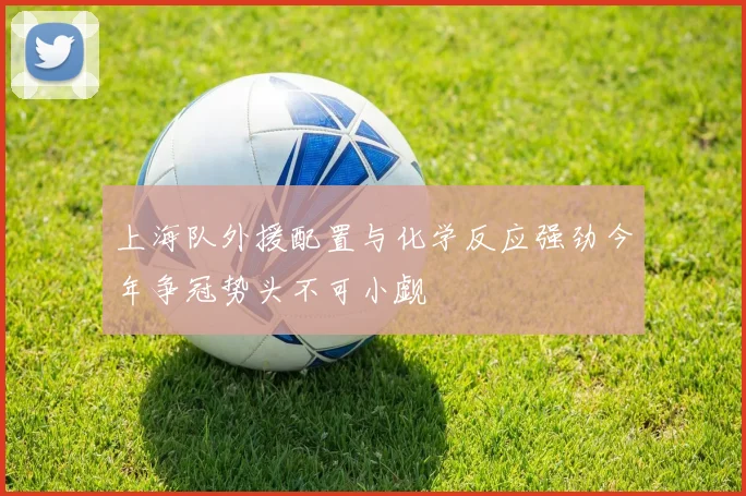 上海队外援配置与化学反应强劲今年争冠势头不可小觑